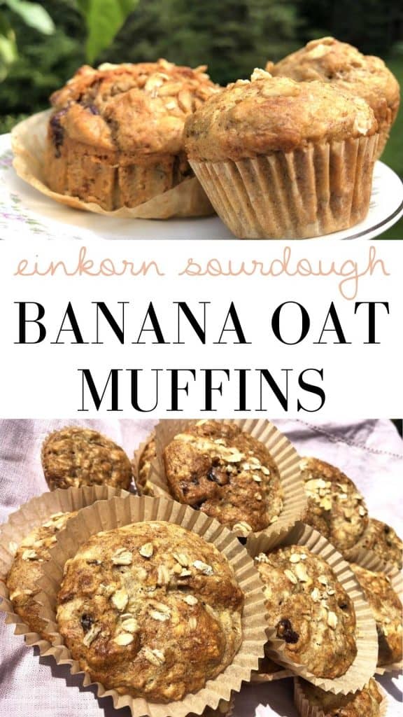 "Einkorn sourdough banana oat muffins" is typed in the middle of a horizontal image featuring two photos of muffins. The top one has three on a plate in front of trees. The one beneath the text is a closeup of several muffins in liners on a purple linen cloth,