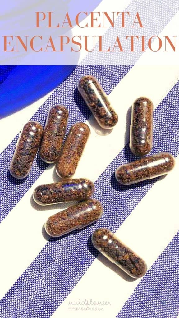Nine placenta pills are on a navy and white striped linen napkin. The words "Placenta Encapsulation" are written in orange text at the top.