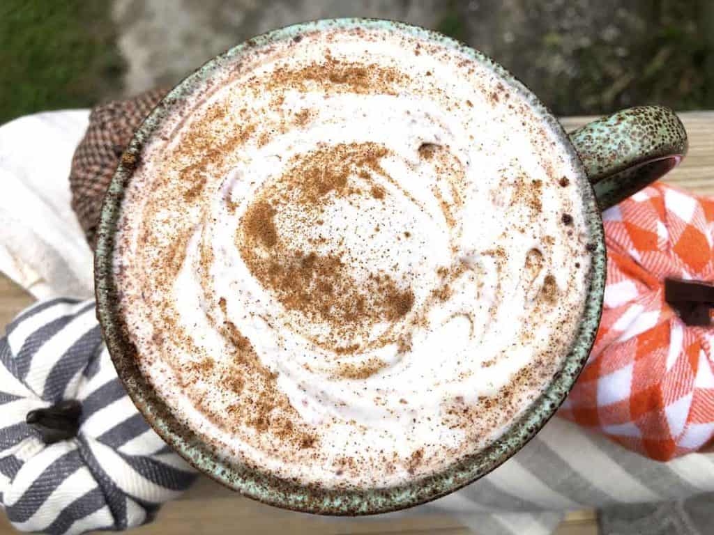 A mug with pumpkin spice milk topped with whipped coconut cream and sprinkled with cinnamon is viewed from the top. Three decorative pumpkins, made from striped and plaid fabrics, are beside it outdoors.