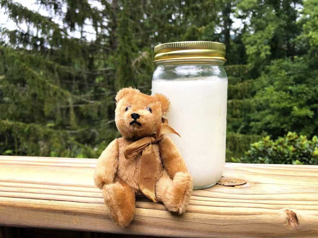A small brown teddy bear is positioned beside a glass jar of coconut oil in front of green pine trees.