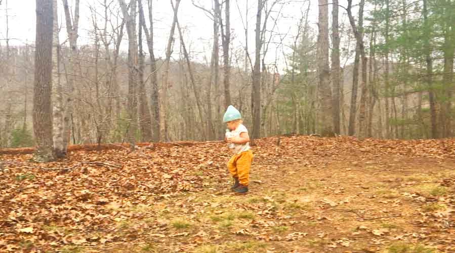 A toddler wearing a blue beanie and orange pants holds a bottle of coconut water in the woods, in front of mountains.