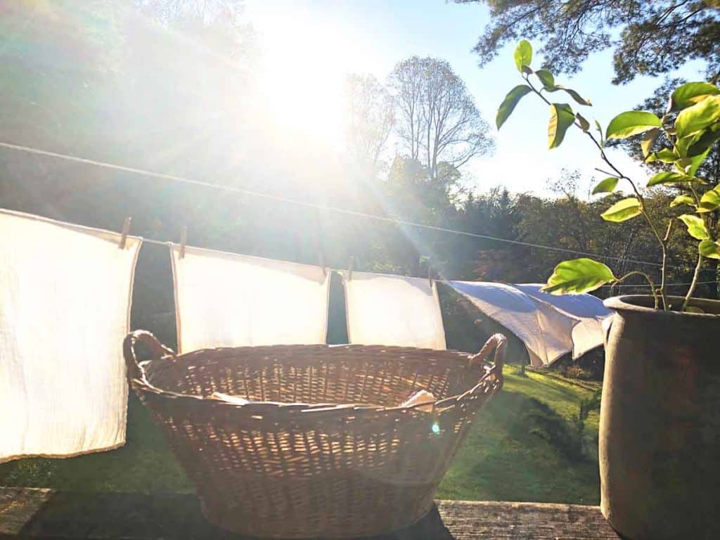 An antique French laundry basket and a vintage crock are in front of diapers drying in the wind on a clothesline in autumn.
