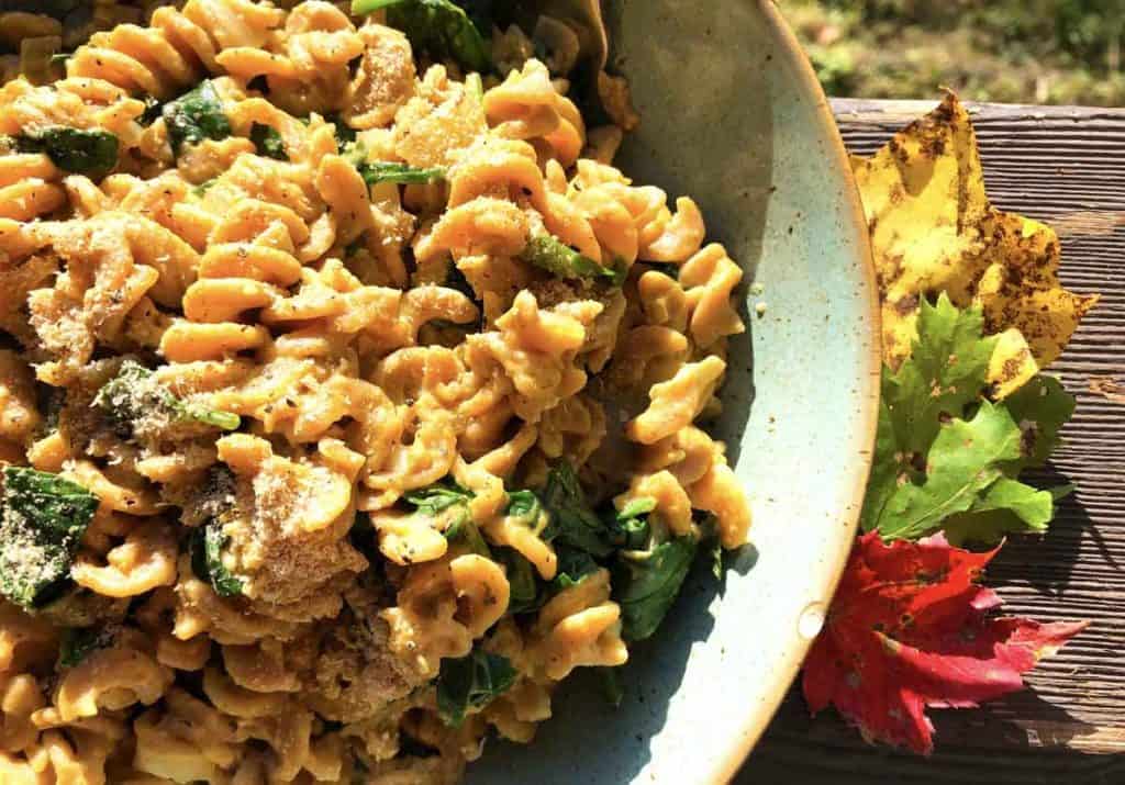 A closeup of einkorn fusilli pasta with spinach and pumpkin sauce in a blue bowl beside autumn leaves of yellow, green, and red.
