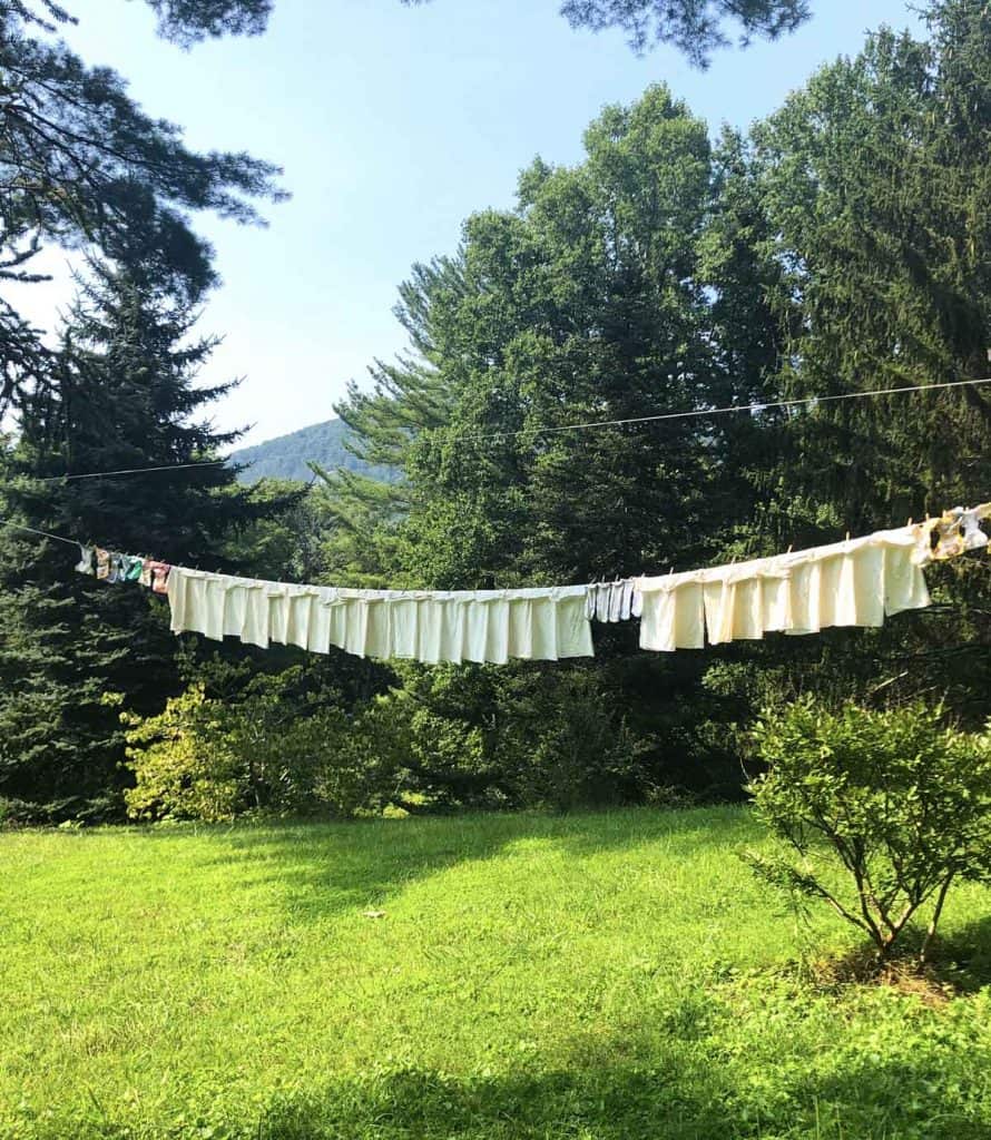 A clothesline filled with cloth diapers, cloth diaper inserts, and cloth diaper covers is outdoors in front of trees and a mountain.