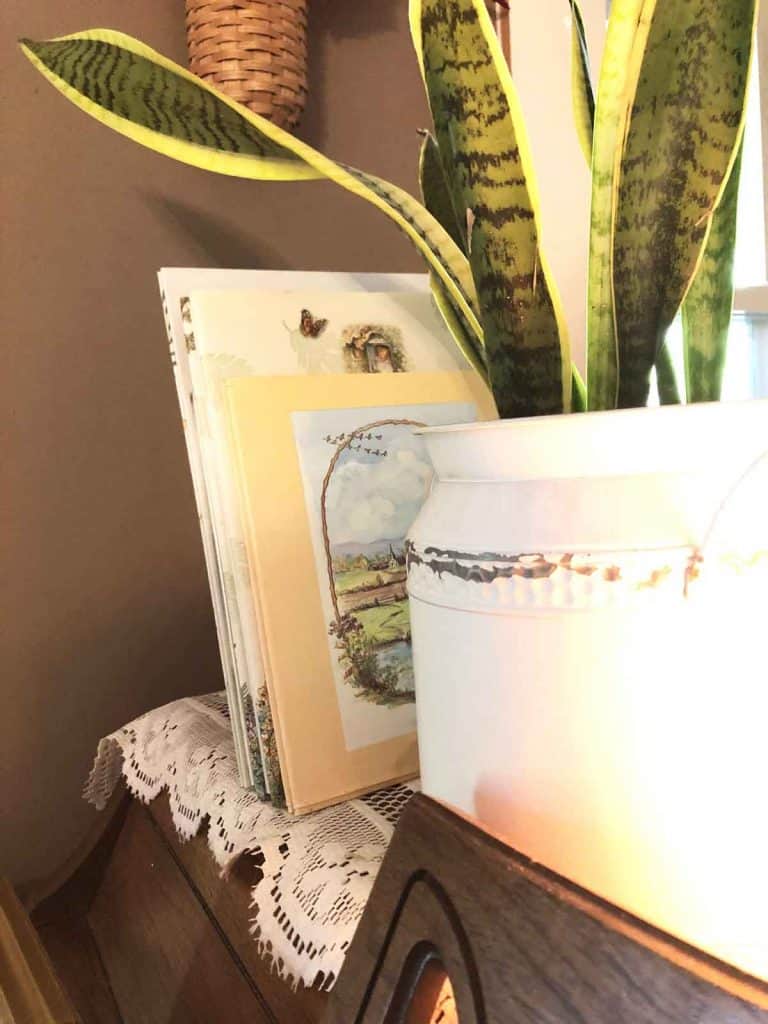 A snake plant with yellow edges is in a white pot that resembles a milk container. It is on top of a piano beside books.