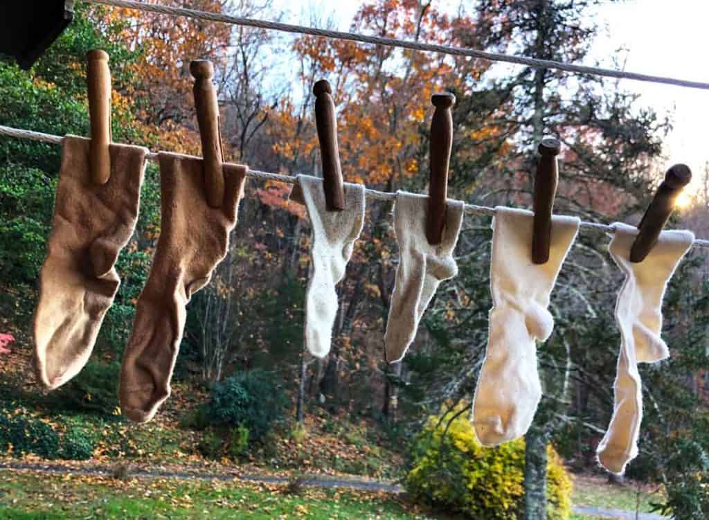 Three pairs of neutral colored baby and toddler socks are on a clothesline in autumn.