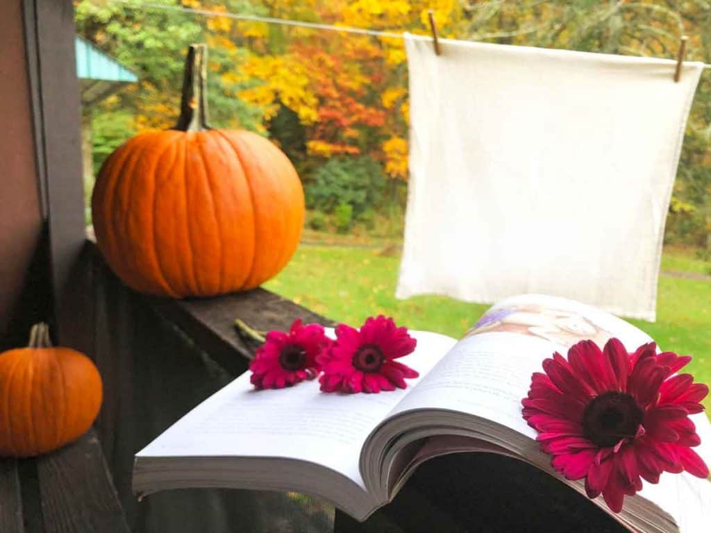 The Kind Mama book is open to a page on cloth diapering. Three pink gerbera daisies are on it. A cloth diaper on a clothesline and pumpkins are in the background.
