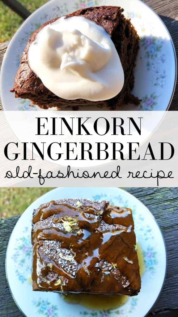 The text "einkorn gingerbread old-fashioned recipe" is on a graphic with two images. Both show the gingerbread being served on a floral dish. In one photo it is topped with whipped cream; in the other it has been drizzled with a lemon glaze. 