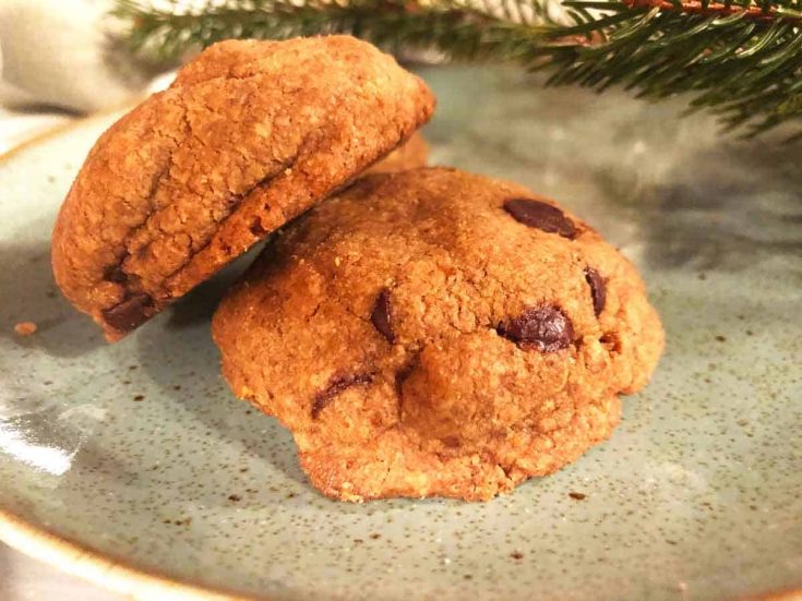 Chocolate chip cookies are on a blue plate near a pine tree branch.