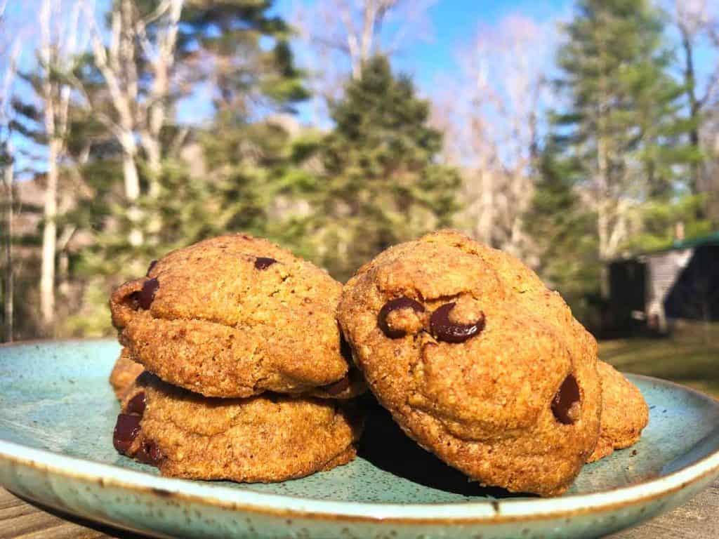 Vegan einkorn chocolate chip cookies are on a plate outdoors. In the background are evergreen trees and the side of a barn.