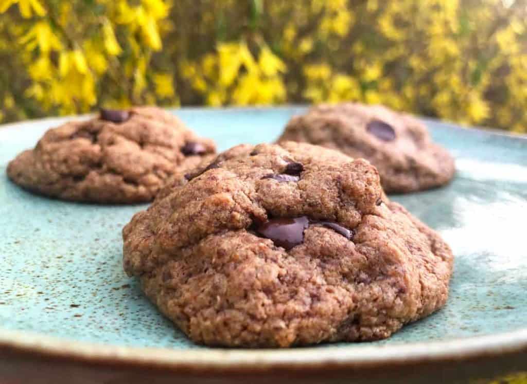 A plate of vegan einkorn chocolate chip cookies is in front of a yellow flowering bush.
