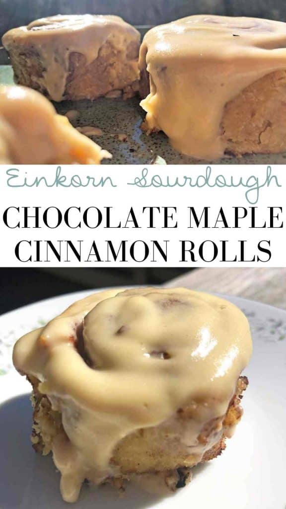 The text "einkorn sourdough chocolate maple cinnamon rolls" is on a graphic with two photos. The first shows three rolls on a plate in the sunlight, the second shows one roll on a floral plate outdoors. 