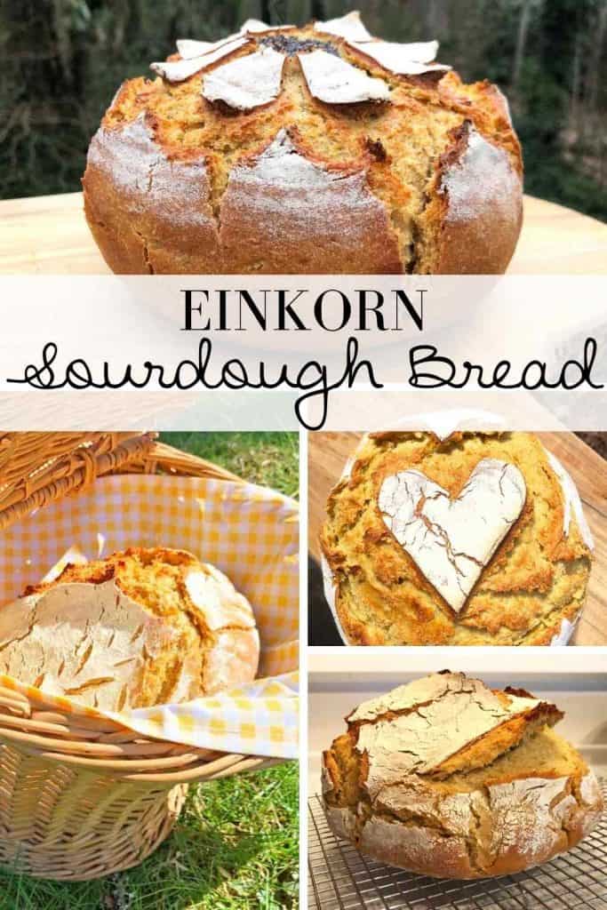 A graphic with four photos of einkorn sourdough bread and text that reads "einkorn sourdough bread." The photos show different scoring patterns, including a flower, a wheat stalk, and a heart.
