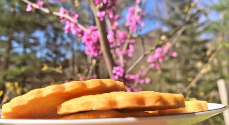Einkorn shortbread cookies are in front of a pink blooming tree. A mountain is in the distance.