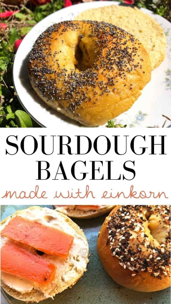 A graphic with the text "sourdough bagels made with einkorn" features two images showing the breakfast item being served.