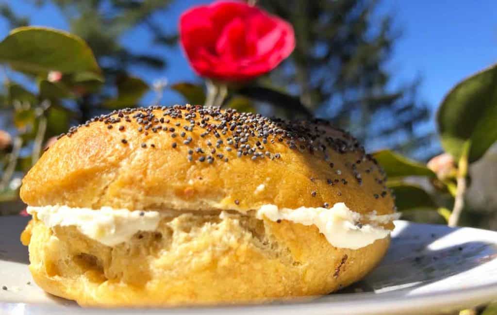 A poppy seed einkorn bagel with cream cheese in the foreground. A pink camellia flower, an evergreen, and blue sky are in the background.