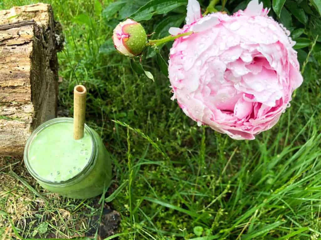 A green smoothie in a mason jar with a wooden straw is outdoors beside a blooming pink peony.