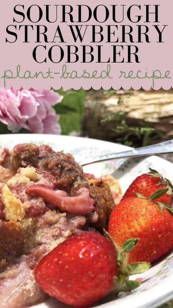 A graphic with the text "sourdough strawberry cobbler plant-based recipe" shows a bowl of the cobbler served with fresh berries beside a pink peony. 
