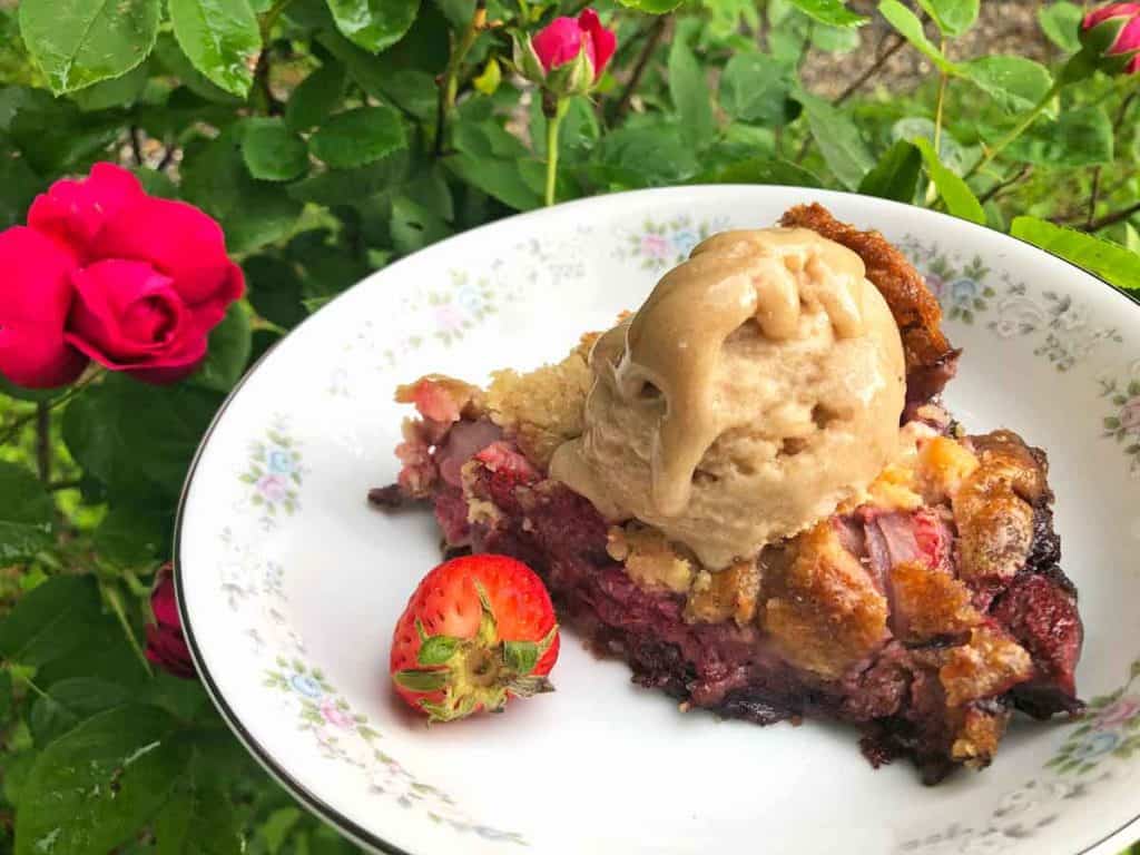 A bowl of vegan strawberry cream cheese cobbler is topped with plant-based ice cream. It's beside a blooming rose bush.