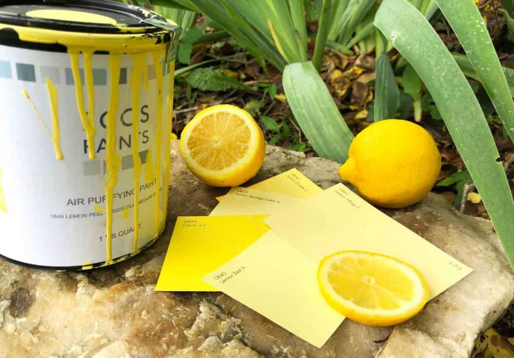 A can of yellow paint is outdoors on a rock beside lemons and color sample cards.