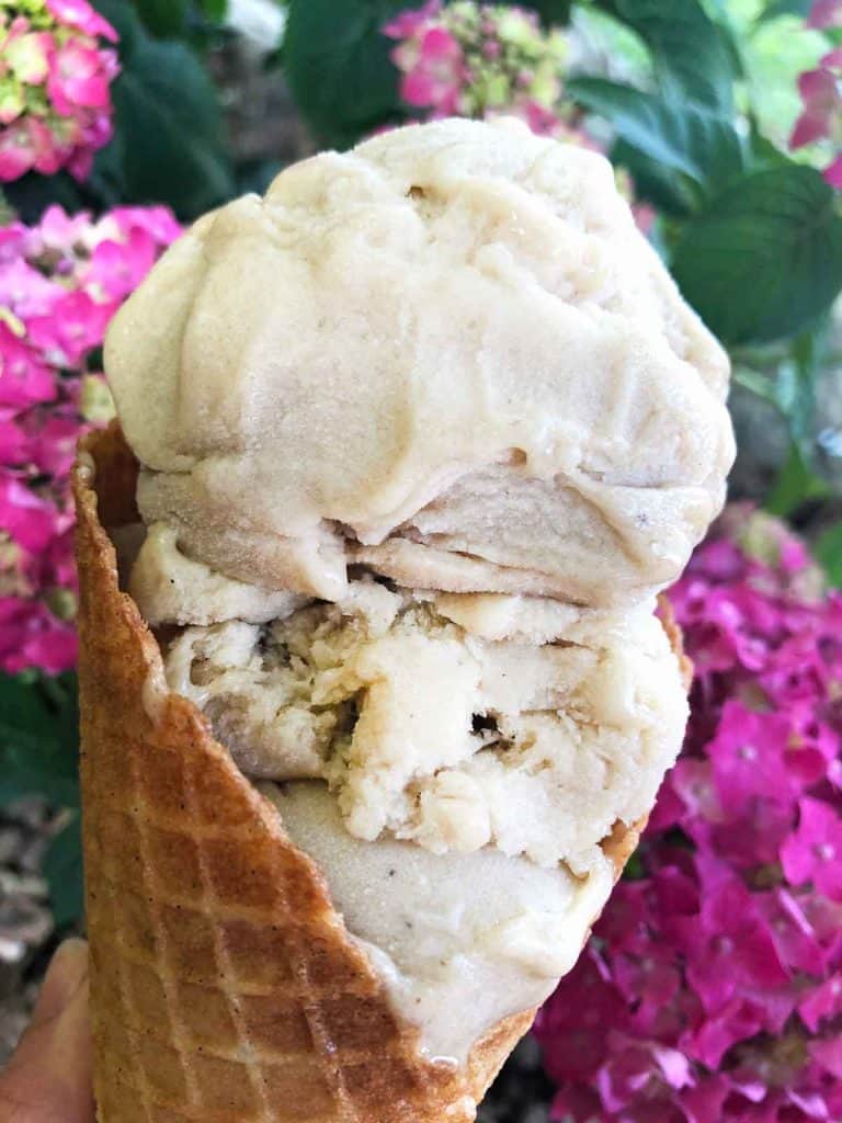 A waffle cone filled with malted vanilla vegan ice cream is in front of pink hydrangea flowers.