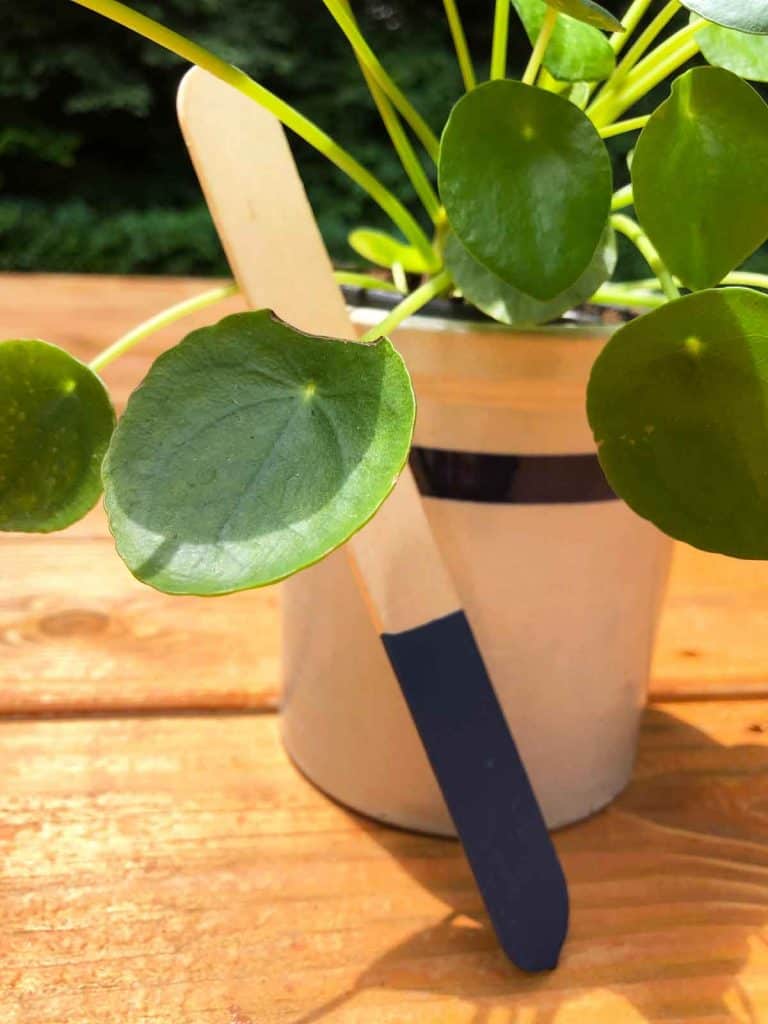 A blue sample color stick is beside a potted plant in a small crock outdoors.