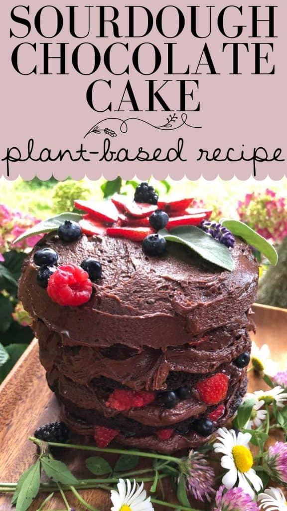 A graphic with the text "sourdough chocolate cake plant-based recipe" features a photo of the vegan cake topped and filled with berries.