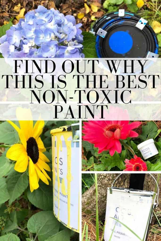 A graphic with the text "find out why this is the best non-toxic paint" and four pictures showing ECOS paint products outdoors.