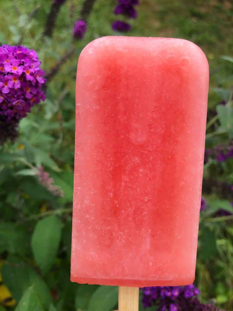 A watermelon popsicle is in the foreground. Purple and orange flowers are behind it.