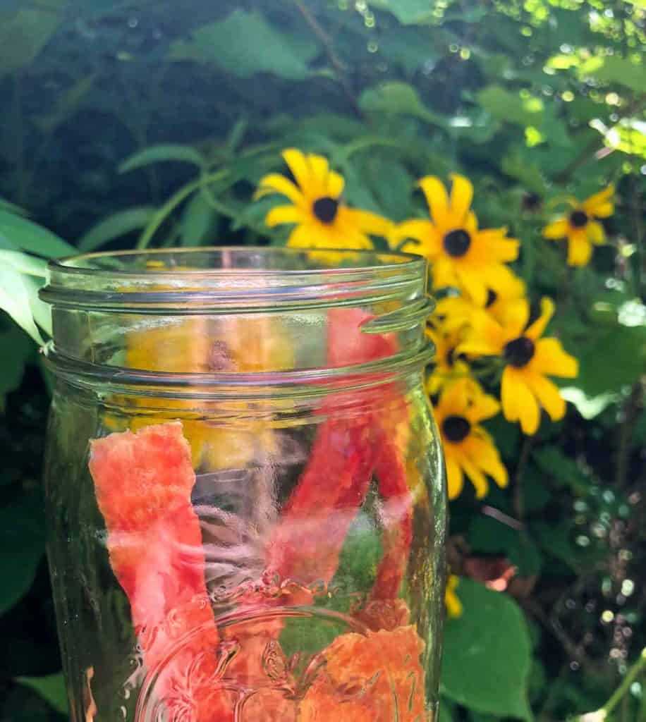 A mason jar is filled with dehydrated watermelon strips. Black Eyed Susan flowers are in the background.