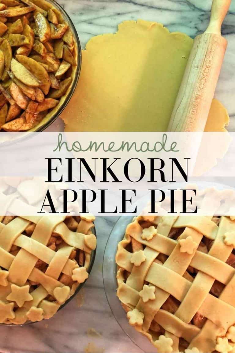Homemade Einkorn Apple Pie - Wildflower on the Mountain